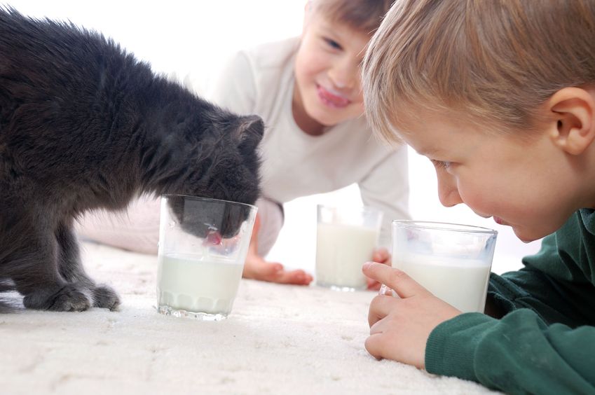 Kids and pets may impact your flooring choices.